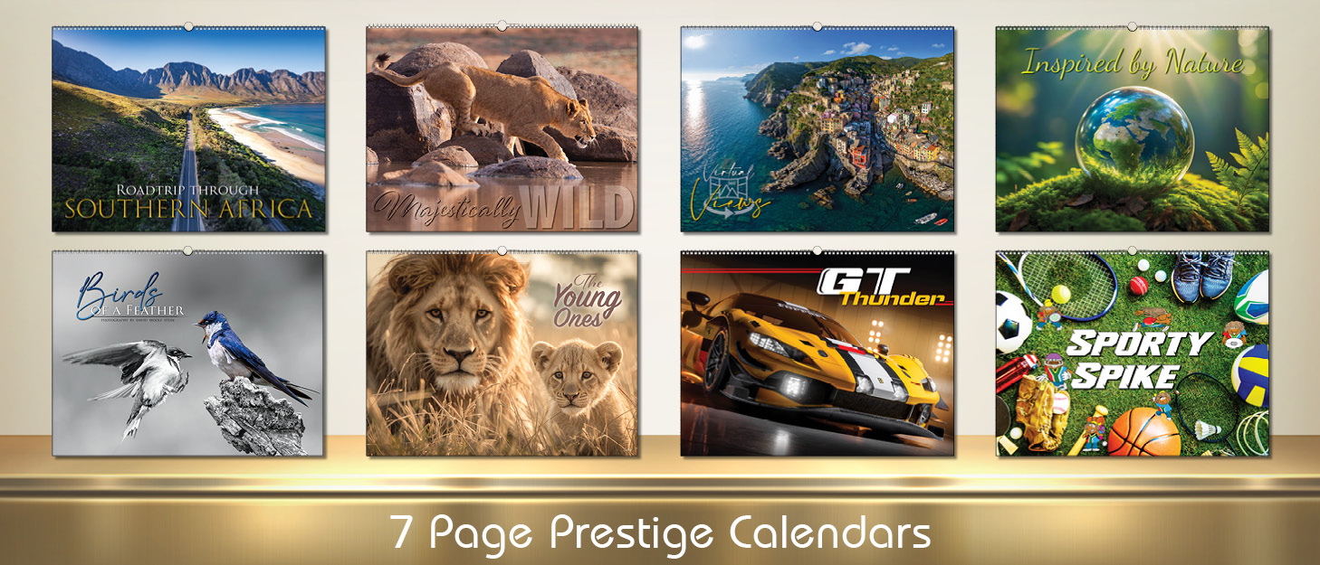 BOTTOM PAGE SLIDERS - ALL 20272